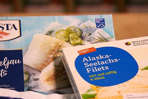 Öko-Test untersucht - Sind Alaska-Seelachs und Kabeljau genießbar?
