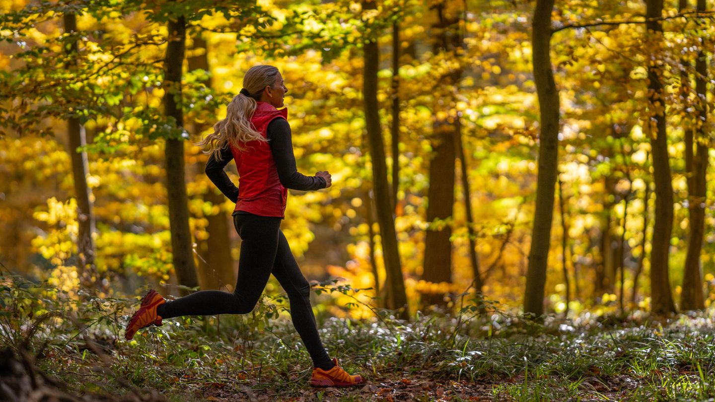 Jogging-Outfit im Herbst: Läuferin joggt im Spätsommer durch einen Wald
