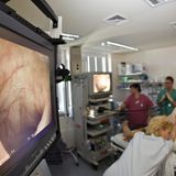 Große Darmspiegelung (Koloskopie)