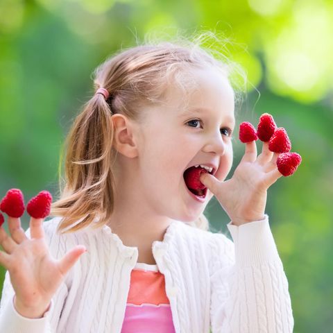 Kleines Mädchen isst Himbeeren