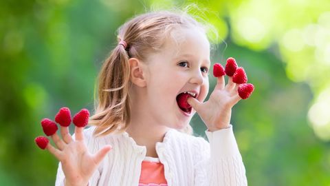Kleines Mädchen isst Himbeeren
