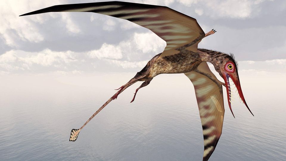 Illustration eines Flugsauriers