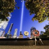 Zwei Lichtsäulen über New York