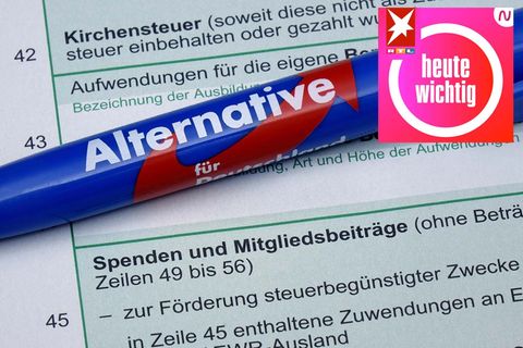 "Correctiv"-Chefredakteur Justus von Daniels erklärt im Podcast die Hintergründe zur AfD-Spendenaffäre.