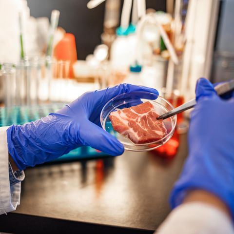 Laborfleisch