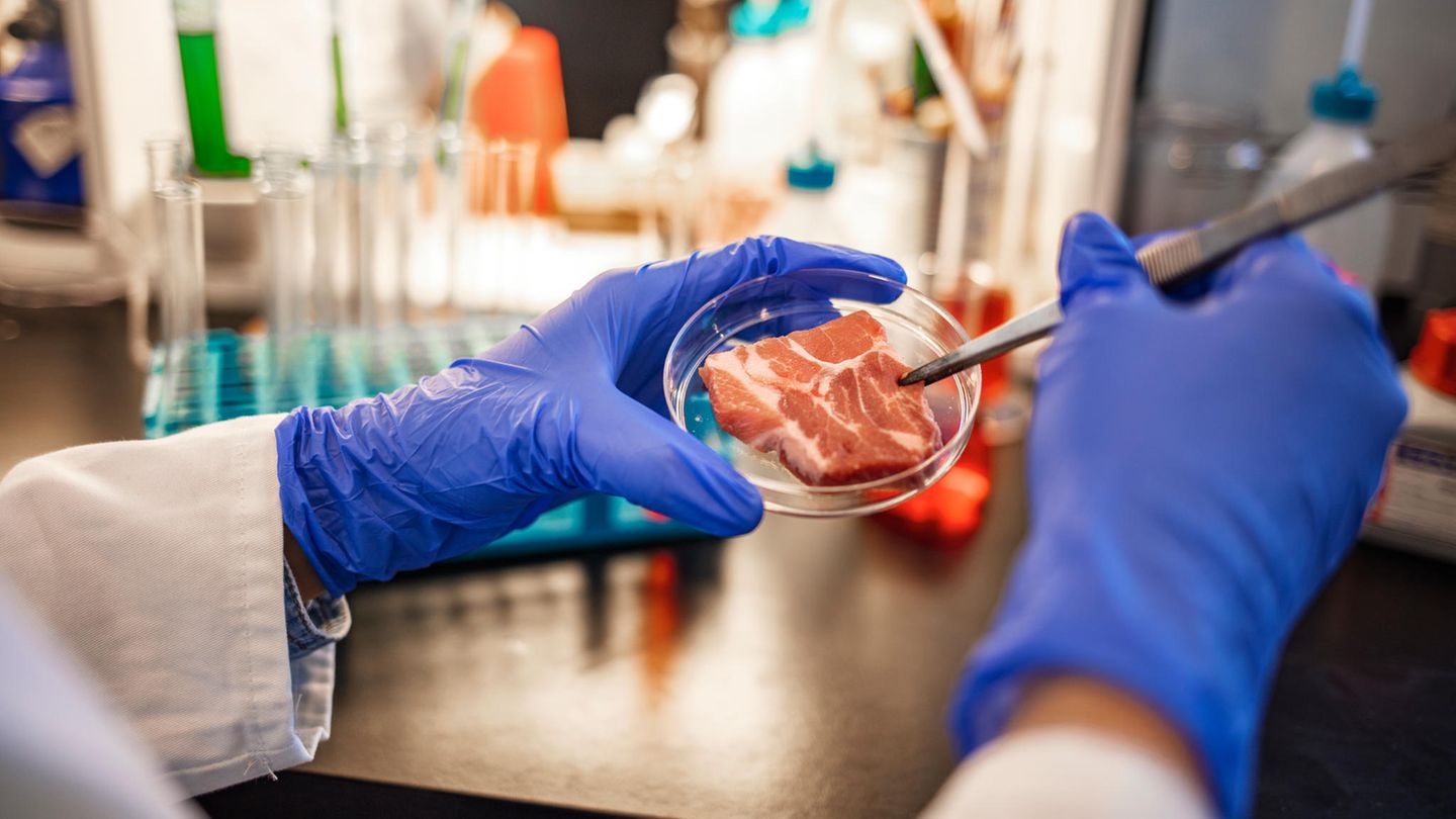 Laborfleisch