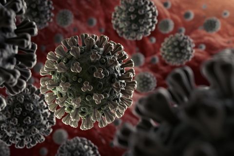 Coronavirus