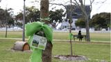 Eine grüne Schleife an einem Baum im Erinnerungsgarten in Kapstadt verweist auf einen Menschen, der an Corona gestorben ist