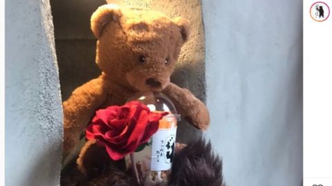 Ein Teddy im japanischen Bärentatzen-Café
