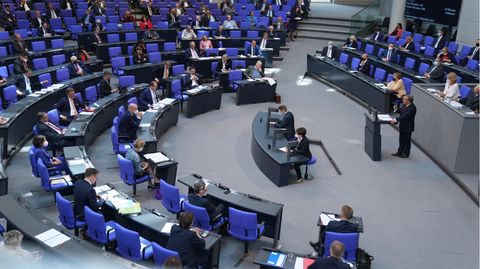 Wer schafft den Sprung in den Bundestag?