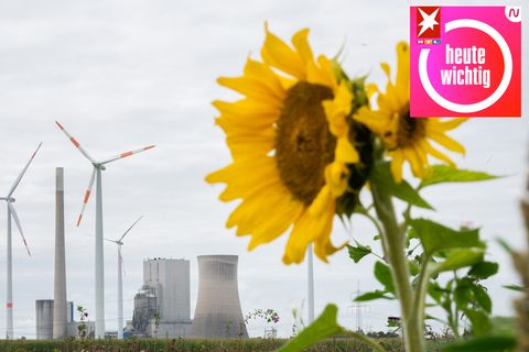 Klimaschutz: “Nicht zu agieren, wird sehr viel teurer werden"