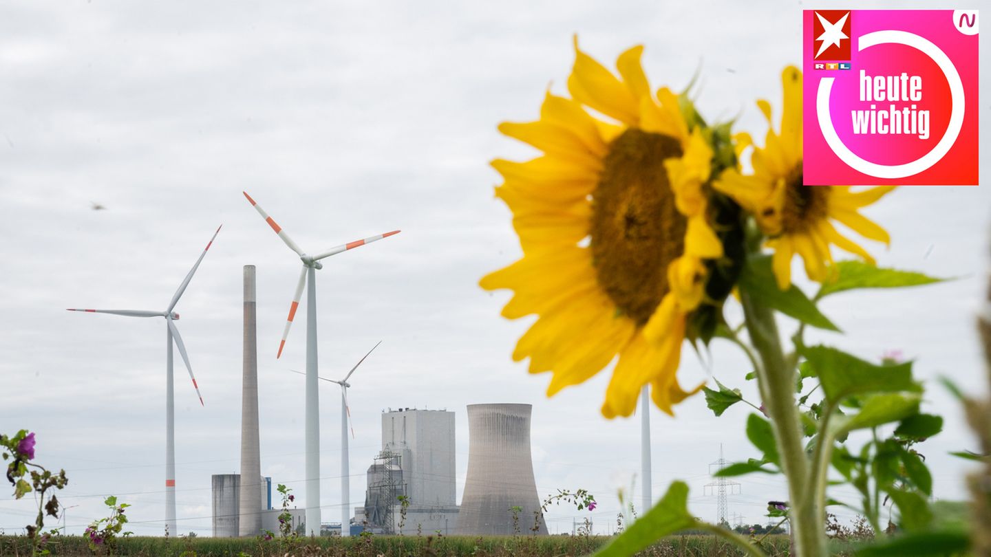 Klimaschutz: “Nicht zu agieren, wird sehr viel teurer werden"