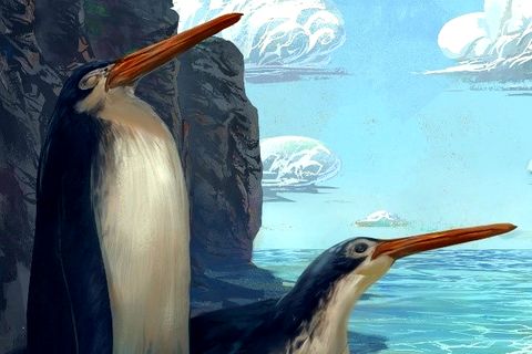 Schüler finden Fossilien von Riesen-Pinguin