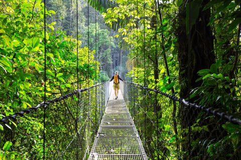Regenwald in Costa Rica