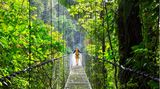Regenwald in Costa Rica