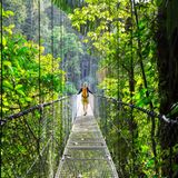 Regenwald in Costa Rica