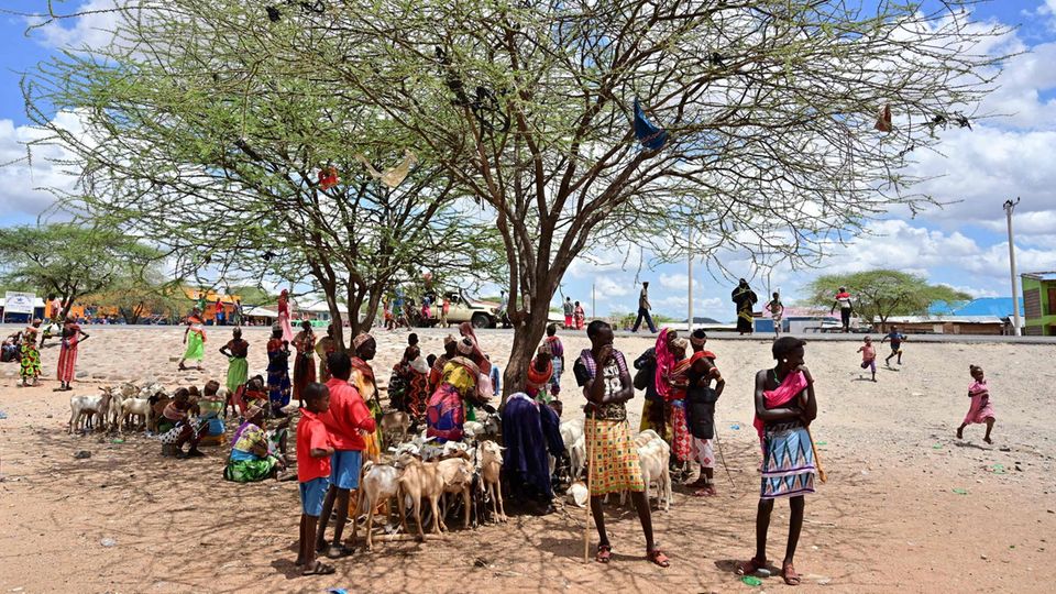 Viehhirten aus dem Volk der Samburu in der Provinz Marsabit im Norden von Kenia. Die Region erlebt eine dramatische Dürre, mehrere hunderttausend Menschen sind von einer Hungersnot bedroht.