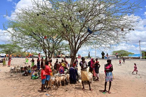 Viehhirten aus dem Volk der Samburu in der Provinz Marsabit im Norden von Kenia. Die Region erlebt eine dramatische Dürre, mehrere hunderttausend Menschen sind von einer Hungersnot bedroht.