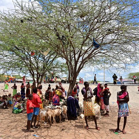 Viehhirten aus dem Volk der Samburu in der Provinz Marsabit im Norden von Kenia. Die Region erlebt eine dramatische Dürre, mehrere hunderttausend Menschen sind von einer Hungersnot bedroht.