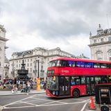 Roter Bus am Piccadilly Circus