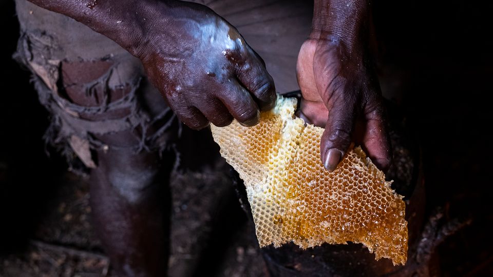 Kinakoni – Ein Dorf gegen den Hunger: Mulwas zerstochene Hände mit einer der Waben aus dem Stock Mulwas zerstochene Hände mit einer der Waben aus dem Stock