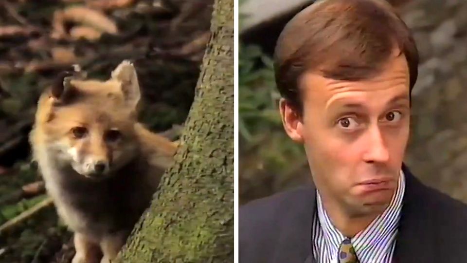 Friedrich Merz Friedrich Merz wirbt mit kuriosem Wahlwerbevideo von 1994 für sich und die Union