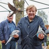 Farblich passend zu Jacke und Jackett gab es in Marlow auch grau-gelbe Vögel.