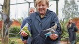 Angela Merkel in Marlow: Auch Sittiche sind im Vogelpark zu finden.