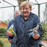 Angela Merkel in Marlow: Auch Sittiche sind im Vogelpark zu finden.