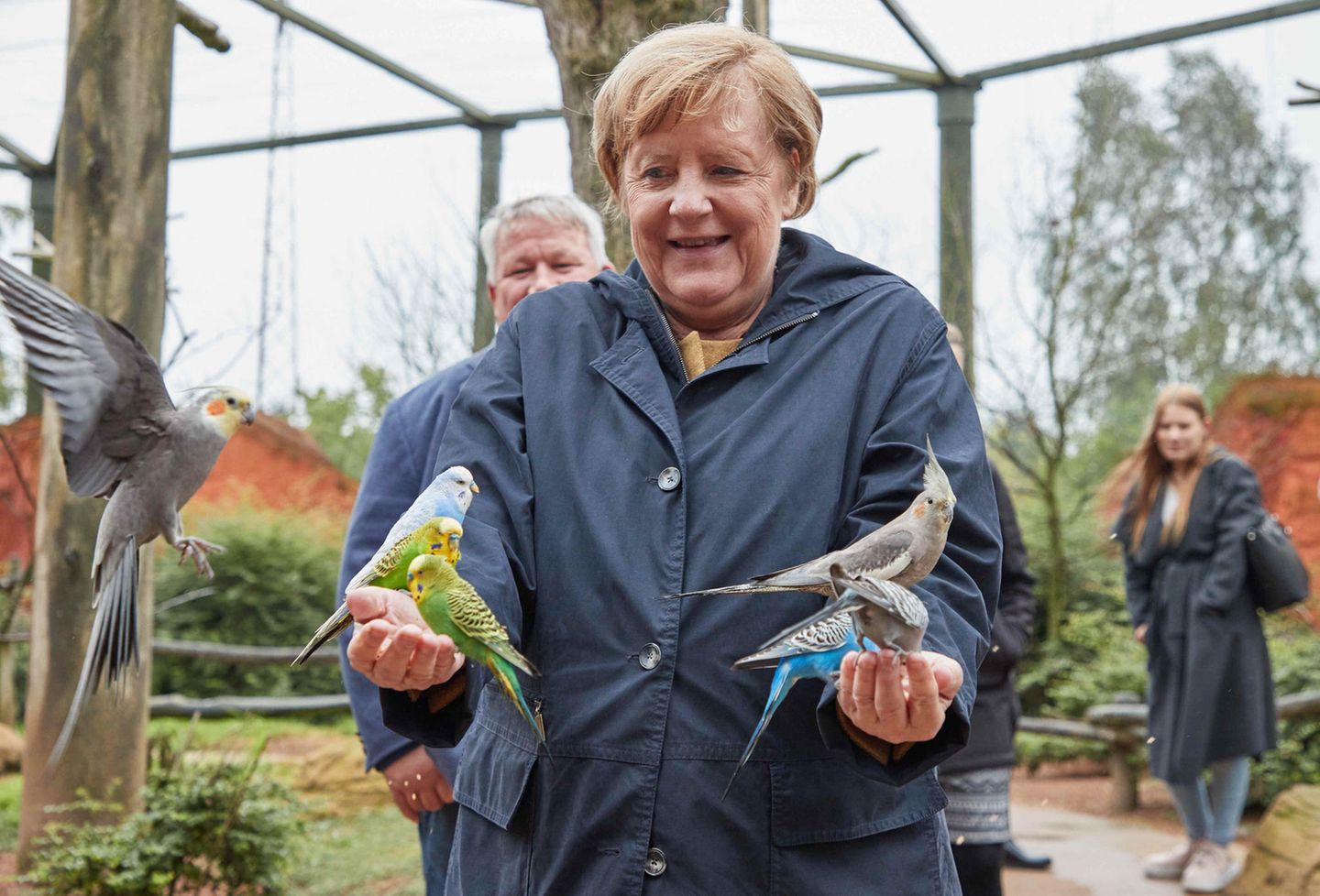 Angela Merkel in Marlow: Auch Sittiche sind im Vogelpark zu finden.