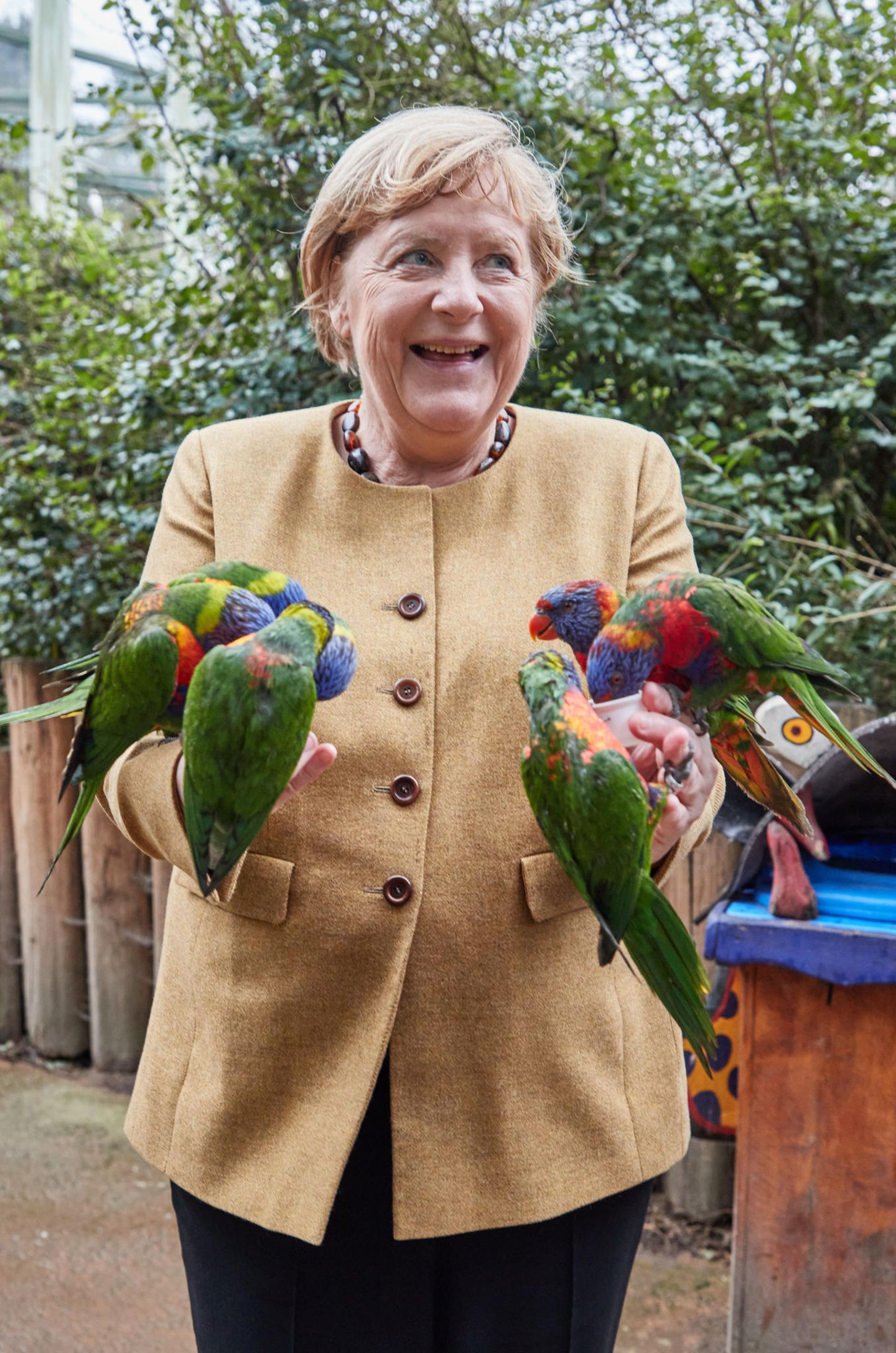 Zwei Hände voller Vögel: Ein Bild, das sicher in Erinnerung bleiben wird.