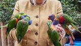 Zwei Hände voller Vögel: Ein Bild, das sicher in Erinnerung bleiben wird.