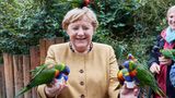 Eines der bunten Tiere landete sogar auf dem Kopf der Kanzlerin. Noch lacht sie – da wusste sie noch nicht, dass es einen kleinen Angriff auf sie geben würde.