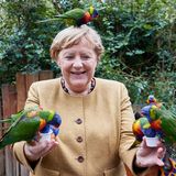 Eines der bunten Tiere landete sogar auf dem Kopf der Kanzlerin. Noch lacht sie – da wusste sie noch nicht, dass es einen kleinen Angriff auf sie geben würde.