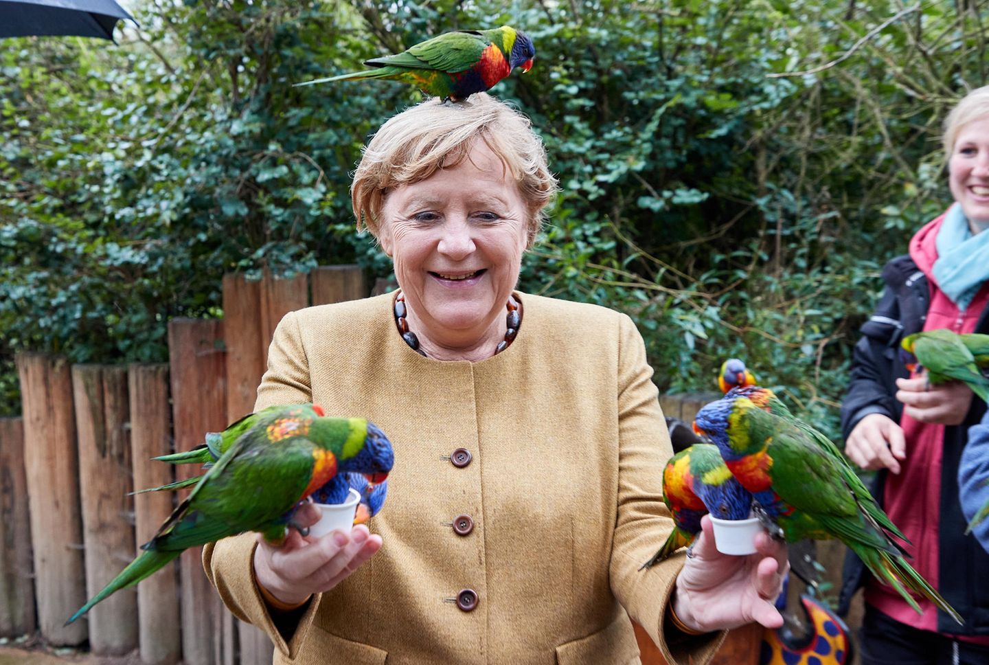 Eines der bunten Tiere landete sogar auf dem Kopf der Kanzlerin. Noch lacht sie – da wusste sie noch nicht, dass es einen kleinen Angriff auf sie geben würde.