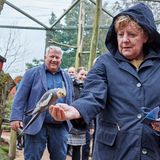Bei manchen Tieren wirkte Merkel zurückhaltender.