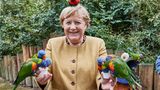 Mit schrägen Vögeln hatte die Kanzlerin in den letzten 16 Jahren ausreichend zu tun. So bunt waren sie aber selten.