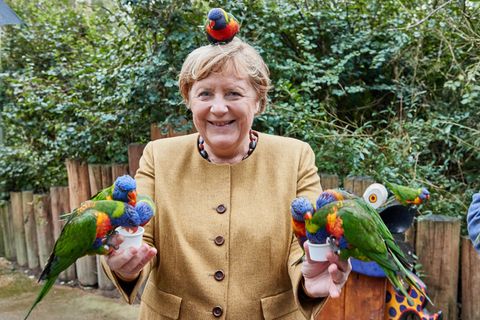Mit schrägen Vögeln hatte die Kanzlerin in den letzten 16 Jahren ausreichend zu tun. So bunt waren sie aber selten.