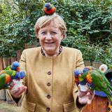 Mit schrägen Vögeln hatte die Kanzlerin in den letzten 16 Jahren ausreichend zu tun. So bunt waren sie aber selten.