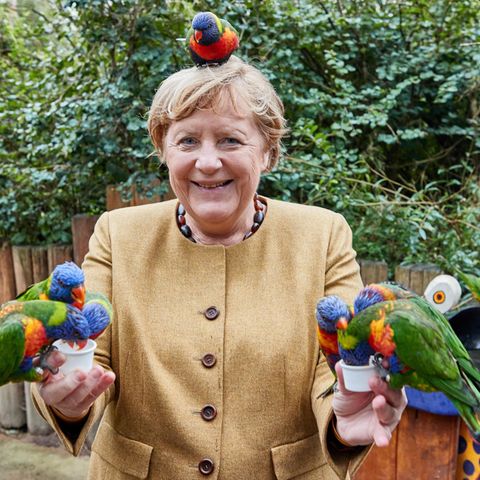 Mit schrägen Vögeln hatte die Kanzlerin in den letzten 16 Jahren ausreichend zu tun. So bunt waren sie aber selten.