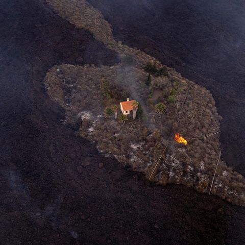 Ein kleines haus steht inmitten einer verkohlten Landschaft