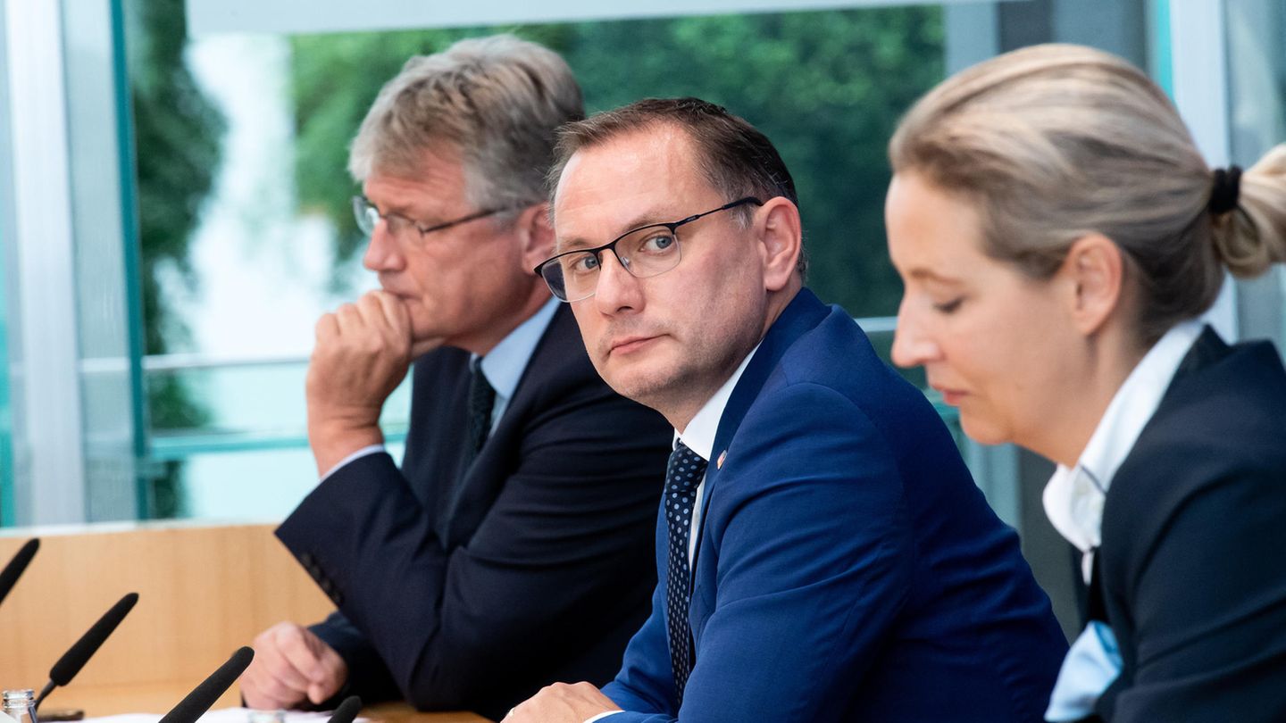 Bundestagswahl: Die AfD-Spitzenkandidaten bei der Bundestagswahl, Tino Chrupalla (Mitte) und Alice Weidel, sowie Jörg Meuthen, Bundessprecher der AfD, sitzen in der Bundespressekonferenz, um sich zum Ausgang der Bundestagswahl zu äußern Die AfD-Spitzenkandidaten bei der Bundestagswahl, Tino Chrupalla (Mitte) und Alice Weidel, sowie Jörg Meuthen, Bundessprecher der AfD, sitzen in der Bundespressekonferenz, um sich zum Ausgang der Bundestagswahl zu äußern