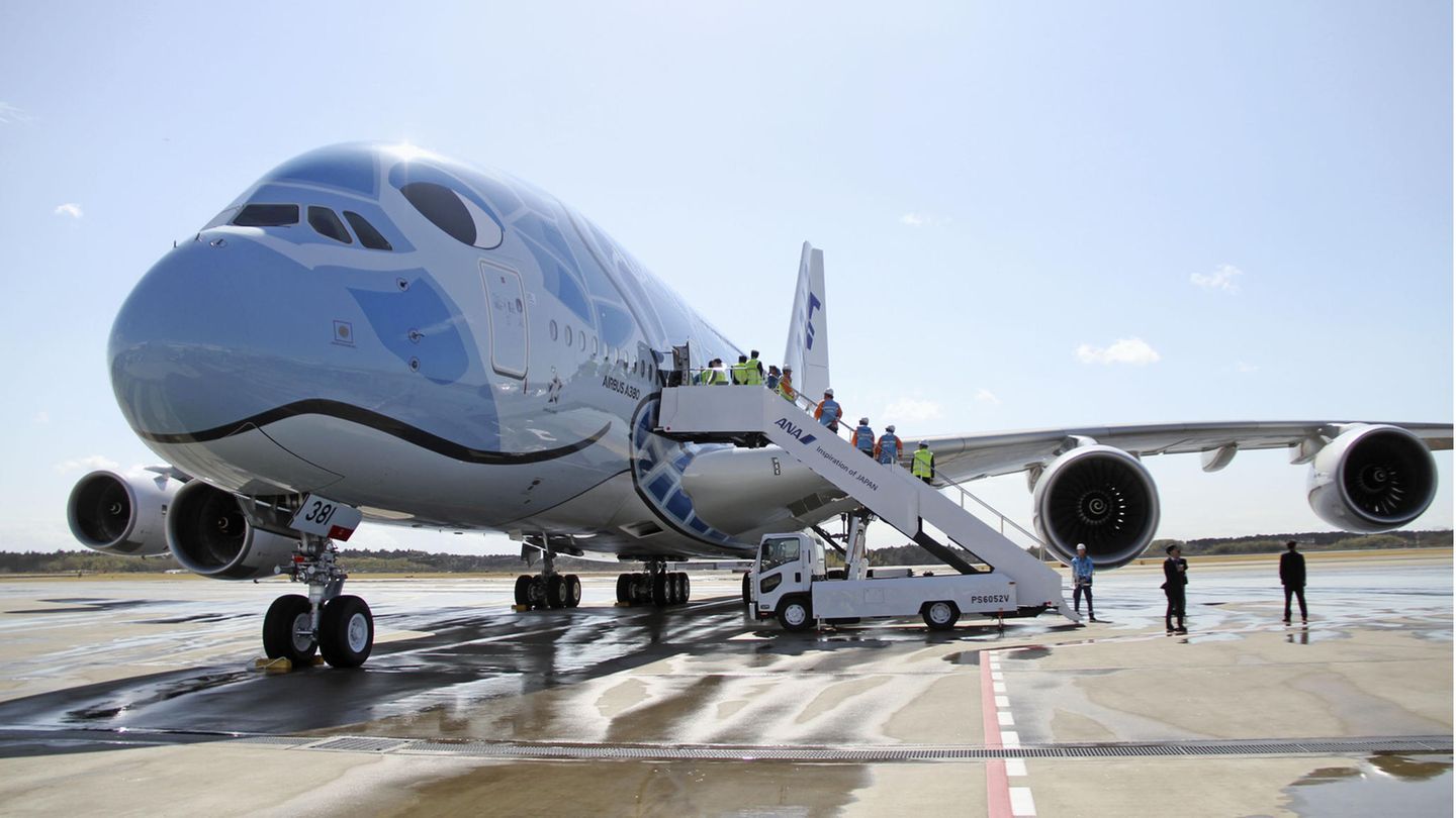 Ein Flieger von Nippon Airways am Flughafen von Tokio