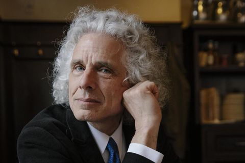 Psychologe, Kognitionswissenschaftler und Linguist: Steven Pinker, 67