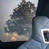 Das Glasdach sorgt für gutes Lichtambiente