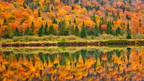 Jacques-Cartier National Park im Herbst