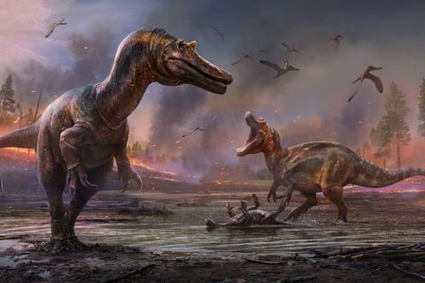 Forscher auf der Isle of Wight entdeckten neue Dinosaurier-Arten.