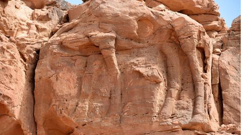 2018 entdeckten Archäologen in der nordwestlichen Provinz Al-Jawf in Saudi Arabien die Kamelskulpturen