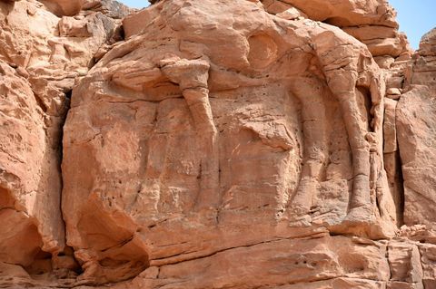 2018 entdeckten Archäologen in der nordwestlichen Provinz Al-Jawf in Saudi Arabien die Kamelskulpturen