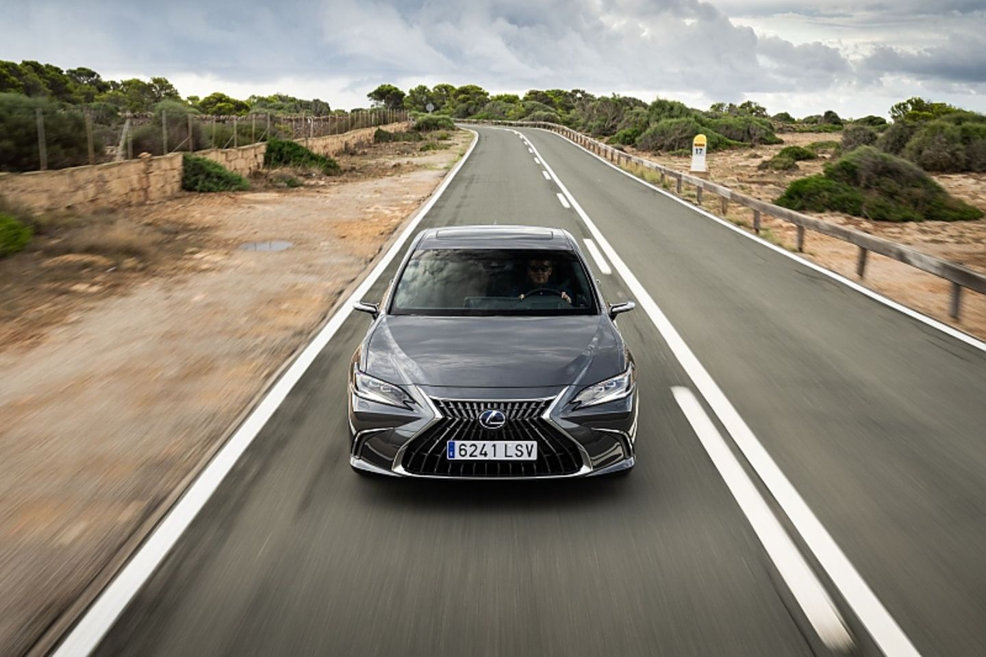 Lexus ES 300h